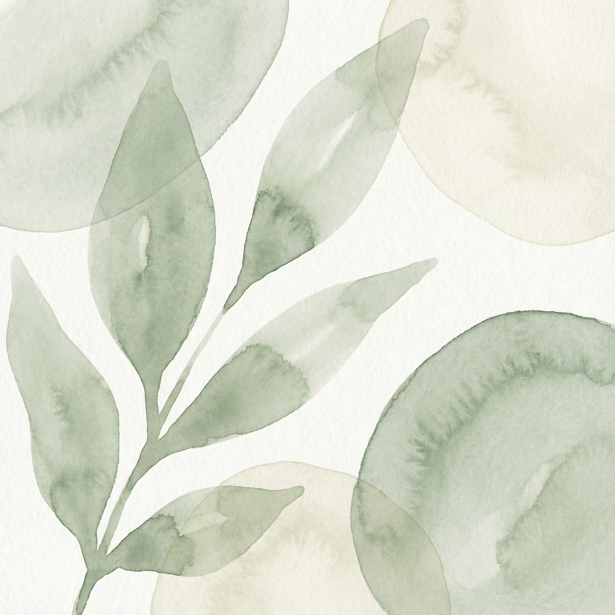 Alexsandra Fernandes